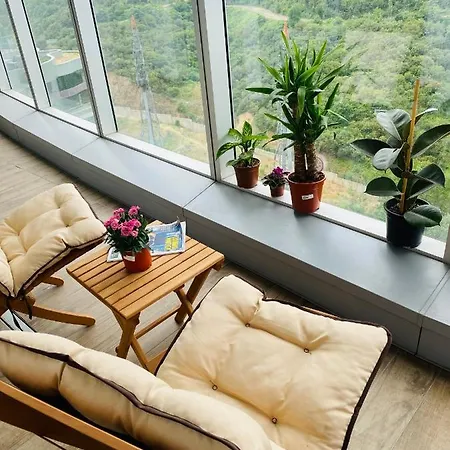Luxury Apartment *